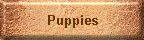 Puppies