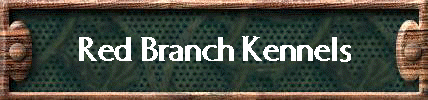 Red Branch Kennels