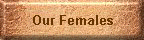 Our Females
