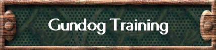 Gundog Training
