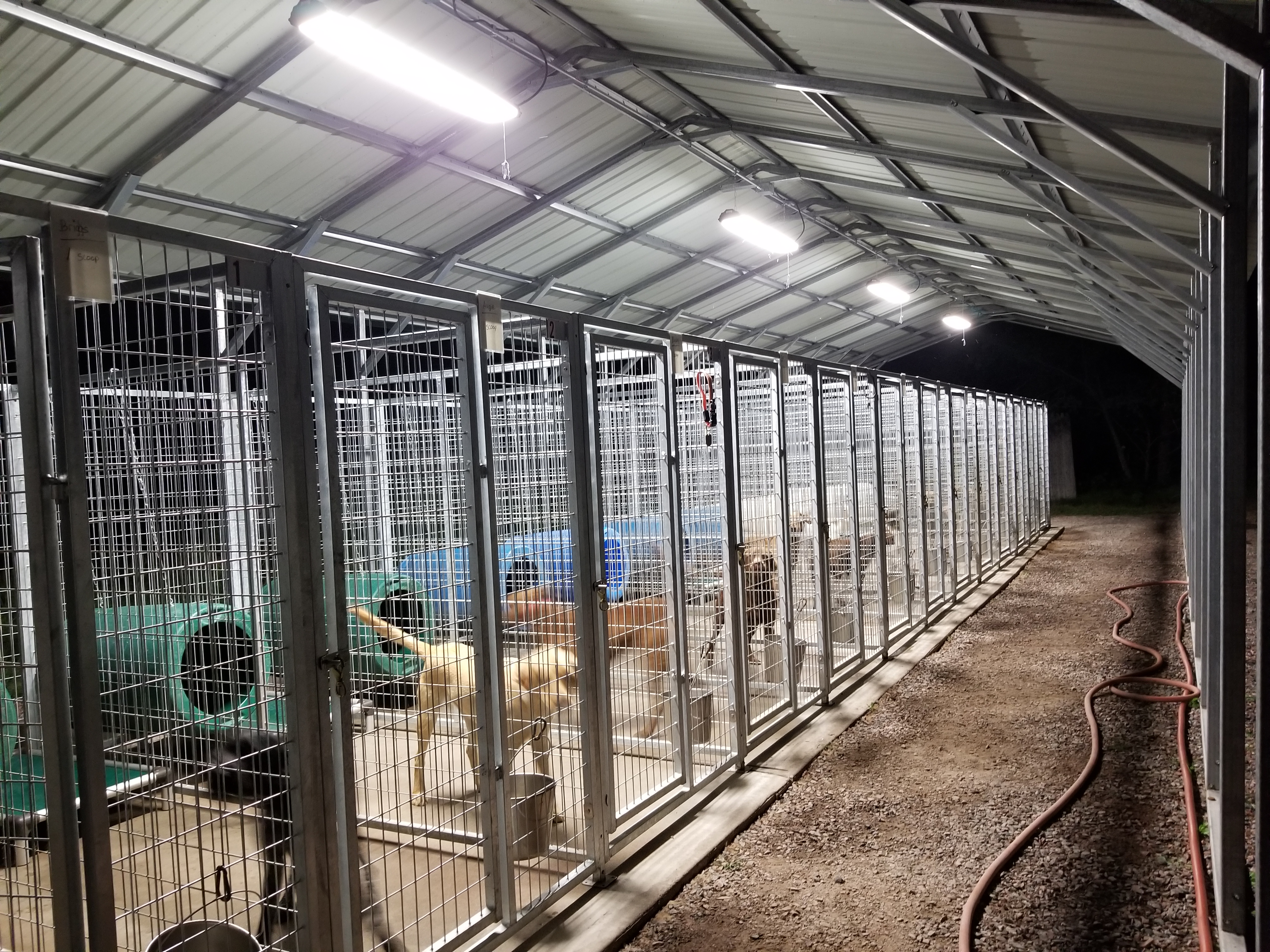 RED BRANCH KENNELS